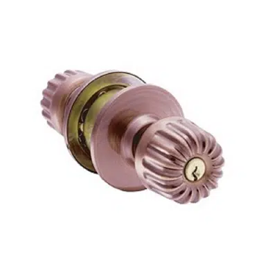 Image pour JARTON Knob Lock Entrance Purnpkin-Big Plate AC