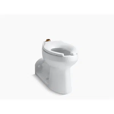 Obrázek pro K-4352-SS Anglesey™ Comfort Height® Floor-mount top spud antimicrobial flushometer bowl