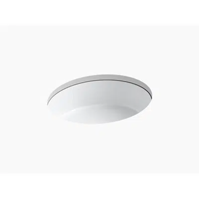 afbeelding voor K-2881 Verticyl® Oval Undermount bathroom sink