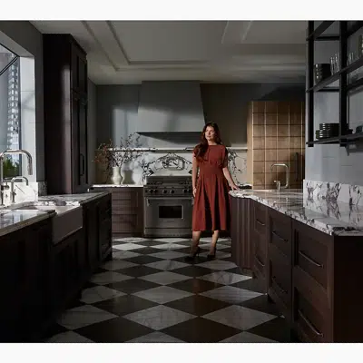 billede til Components® Pull-down kitchen sink faucet with two-function sprayhead