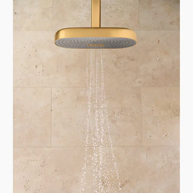 KOHLER Statement Oblong 1-Spray Patterns 2.5 GPM 12 In. Ceiling Mount Rainhead Fixed Shower Head In Vibrant Polished Nickel 26293 Sn