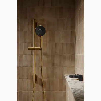 imagen para SpaViva™ Two-function handshower with all-in-one cleansing device, 2.5 gpm