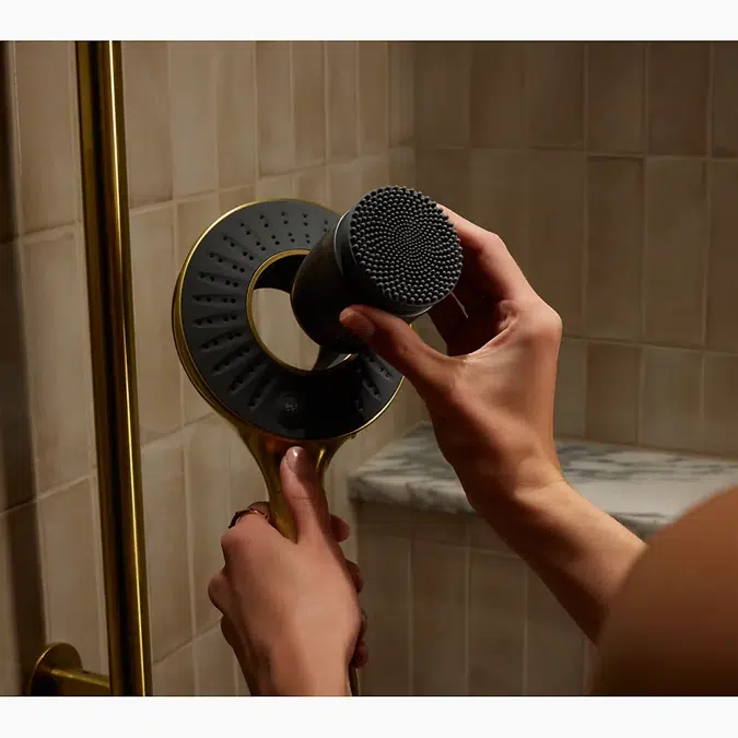SpaViva™ Two-function handshower with all-in-one cleansing device, 2.5 gpm