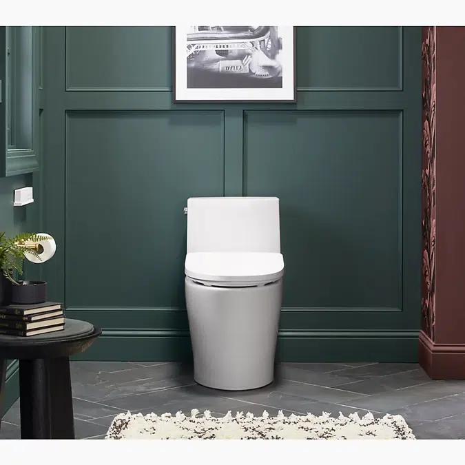 PureWash® E930 Elongated bidet toilet seat with remote control