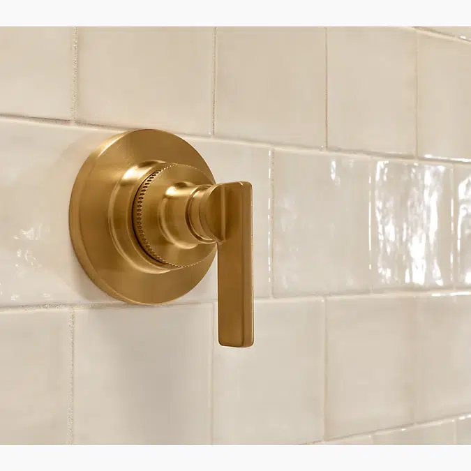Castia™ by Studio McGee MasterShower® transfer valve trim with lever handle