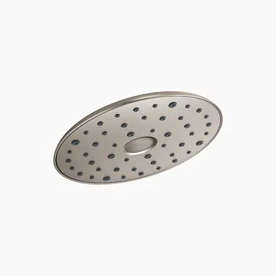 Obrázek pro Raindet™ Single-function showerhead, 1.75 gpm