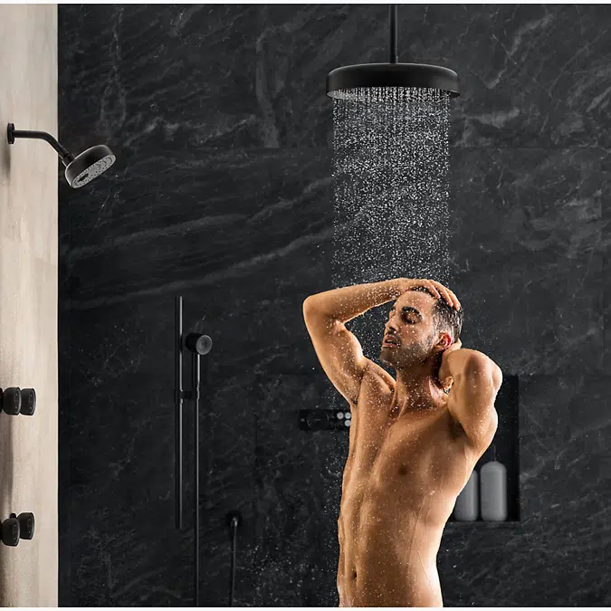 Statement™ Round 12" single-function rainhead, 2.5 gpm