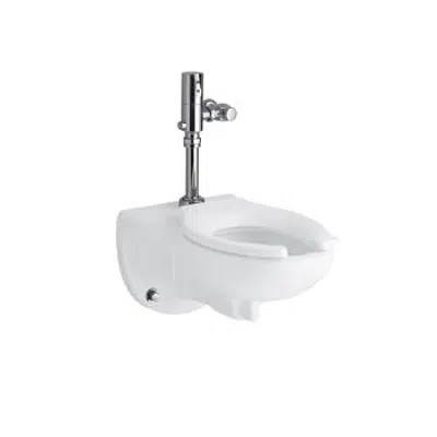 billede til K-4325-l Kingston™ Wall-mount top spud flushometer bowl with bedpan lugs