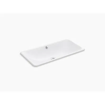 Image for K-20212 Iron Plains® Trough Rectangle Drop-in/undermount bathroom sink