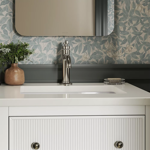 castia™ by studio mcgee single-handle bathroom sink faucet, 1.0 gpm