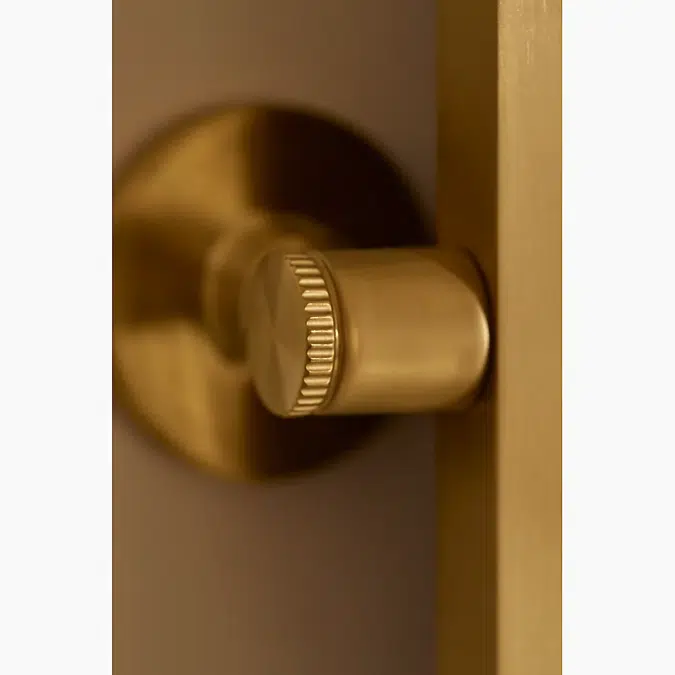 Castia™ by Studio McGee 20" x 30" rectangular mirror