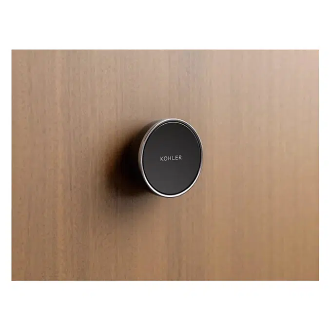 K-28213 Anthem™ Remote on/off button for digital thermostatic valve