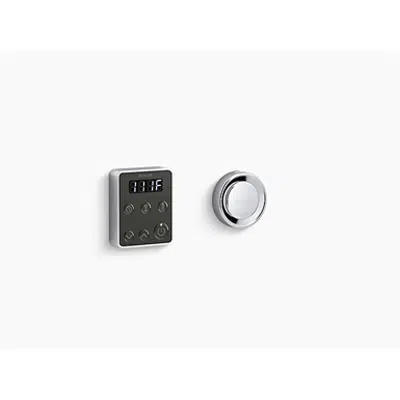 afbeelding voor K-5557 Invigoration® Series steam generator control kit