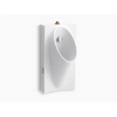 imagem para K-5244-ET Steward® Hybrid high-efficiency urinal with 3/4" top spud