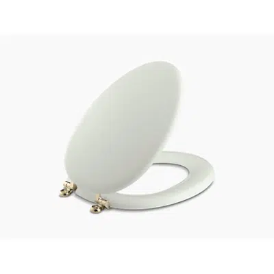 Image for K-4701-AF Kathryn® Elongated toilet seat with Vibrant® French Gold hinges