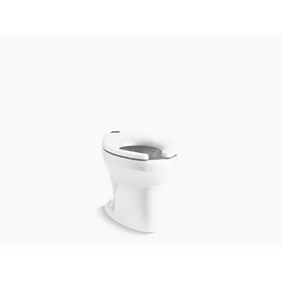 obraz dla K-96053-SSL Wellcomme™ Ultra Floor-mount top spud antimicrobial flushometer bowl with bedpan lugs