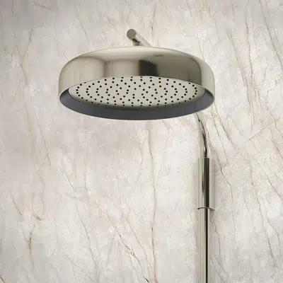 Statement™ Round 14" single-function rainhead, 2.5 gpm图像