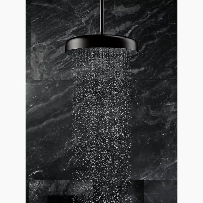 Statement™ Round 14" single-function rainhead, 2.5 gpm