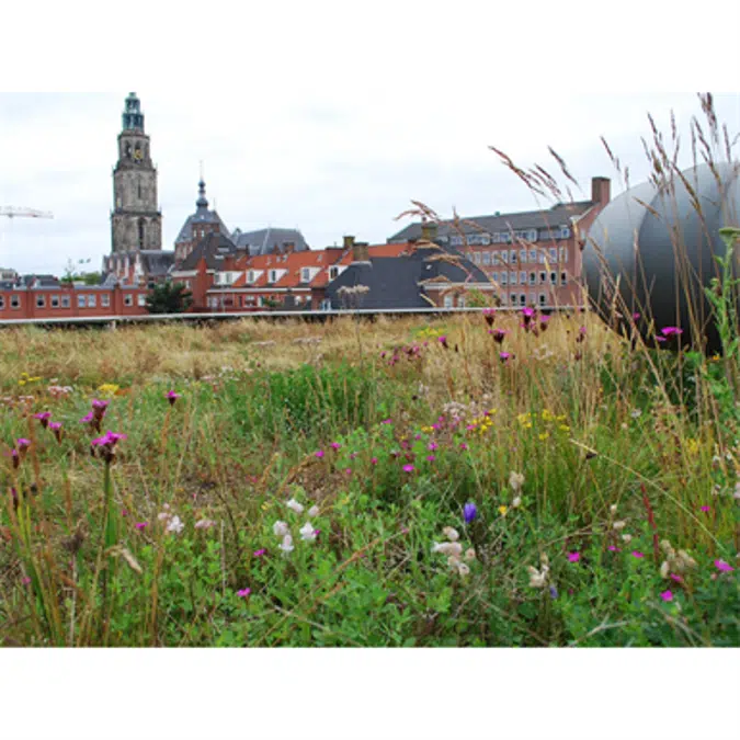 Blue Roof Meander FKM 60 System Solution