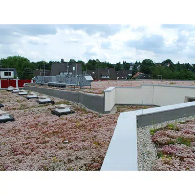 Image for Blue Roof Meander FKM 30 System Solution