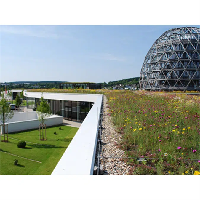 Systemlösung Naturdach Lösung 1