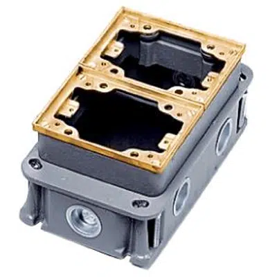Image pour Rectangular Floor Box, Concrete, 2-Gang Deep, Brass/Cast Iron
