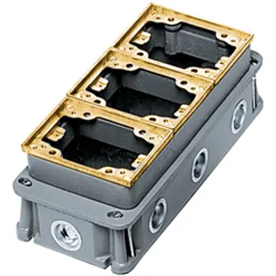 รูปภาพสำหรับ Rectangular Floor Box, Concrete, 3-Gang Deep, Brass/Cast Iron