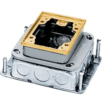 Image for Rectangular Floor Box for Single-Service, Concrete, 1-Gang Shallow, Brass/Stamped Steel