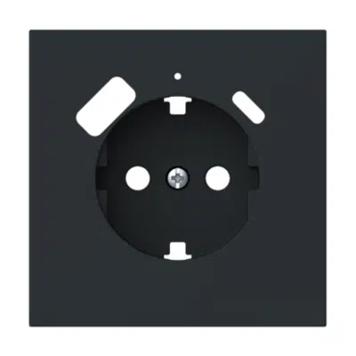 SCHUKO Socket with USB Charger Vega-Negro-Mate 이미지