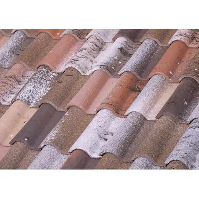 TB-12 Centenaria Ground Roof Tile
