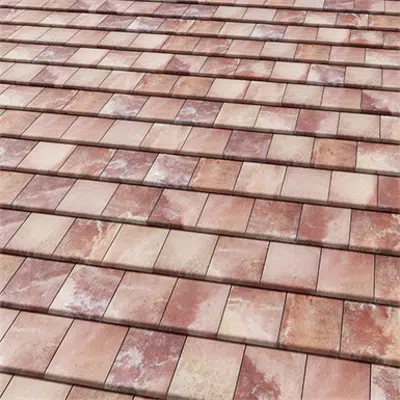 изображение для FLAT-10 Ibiza Pink Roof Tile