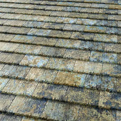 Image for FLAT-5XL Denver Iris Roof Tile