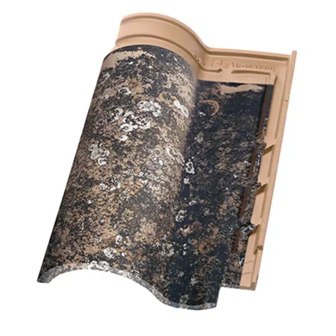 TB-10 TECH Centenaria Entrepins Roof Tile