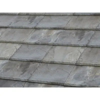 bilde for FLAT-5XL Irish Green Roof Tile