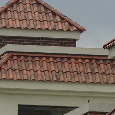 obraz dla TB-10 TECH Moss Red Roof Tile