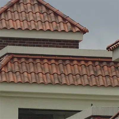 Immagine per TB-10 TECH Moss Red Roof Tile