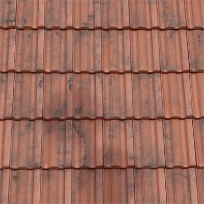 Image pour TECHNICA-10 Moss Red Roof Tile