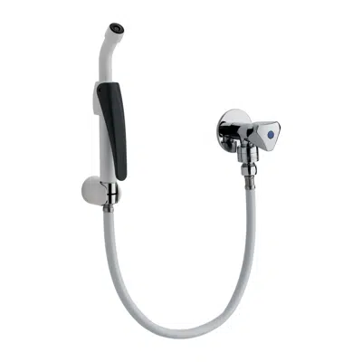 Image for 39209 - Clinical sink sprayer