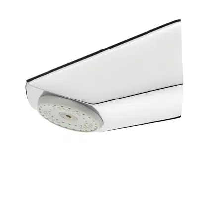 Image for 29110 - SHOWER HEAD - FIXED SHOWER HEAD WITH DIRECTIONAL GRID