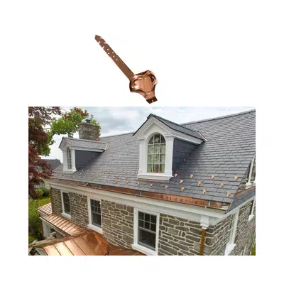 Image pour Snow Bird Pad Style Snow Guard