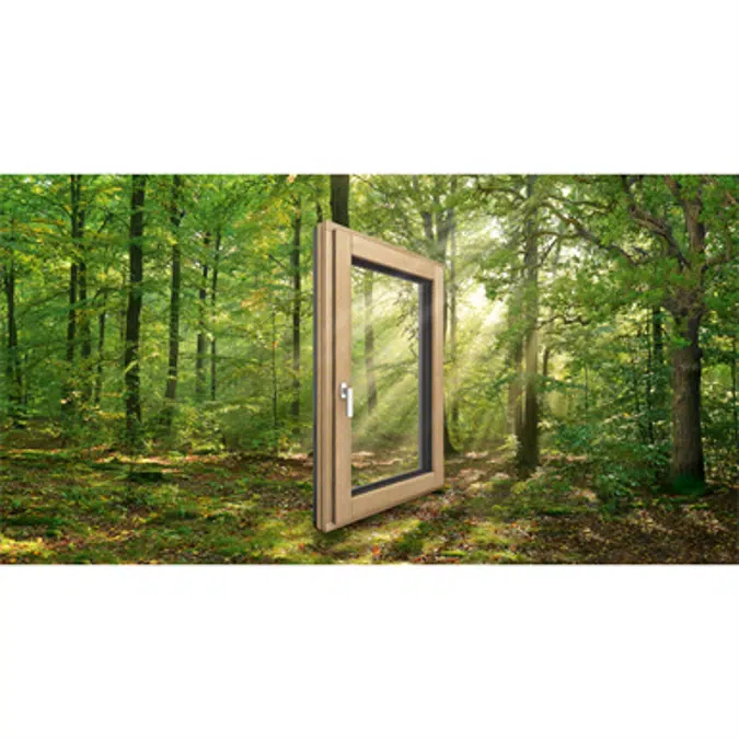 Window double Wood Aluminium Internorm HF410 3