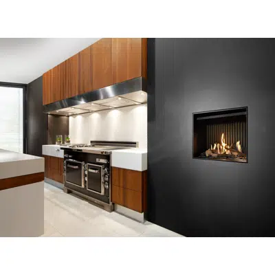 Image pour G60/48F Front Gas Fireplace