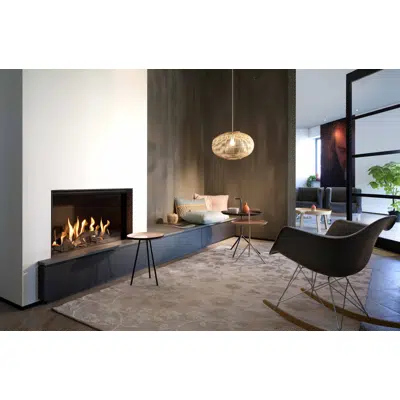 Image pour G80/48F Front Gas Fireplace