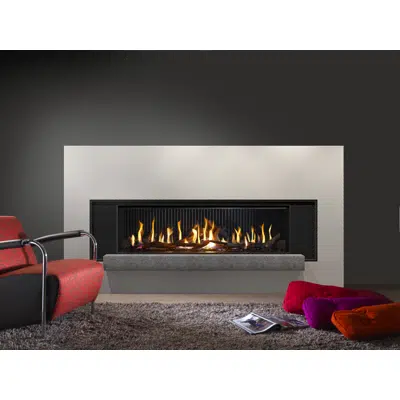 Image pour G160/41F Front Gas Fireplace