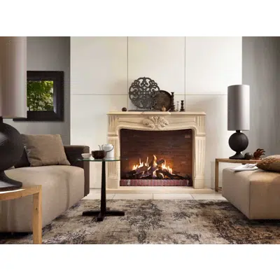 Image pour GP105/79F Front Gas Fireplace