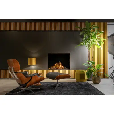 Image pour Gi105/79F Front Gas Fireplace