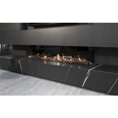 obraz dla G170/37S Three-sided Gas Fireplace