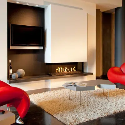 G130/37s Three-sided Gas Fireplace图像