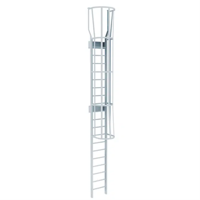 BIM objects - Free download! 534 Tubular Rail Low Parapet Cage Ladder ...