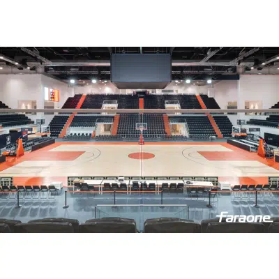 Image for Ninfa 6 Stadio
